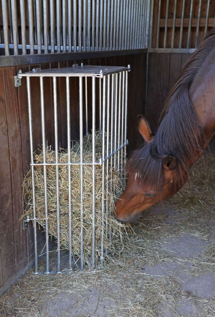 KERBL Wandraufe SlowFeed Plus